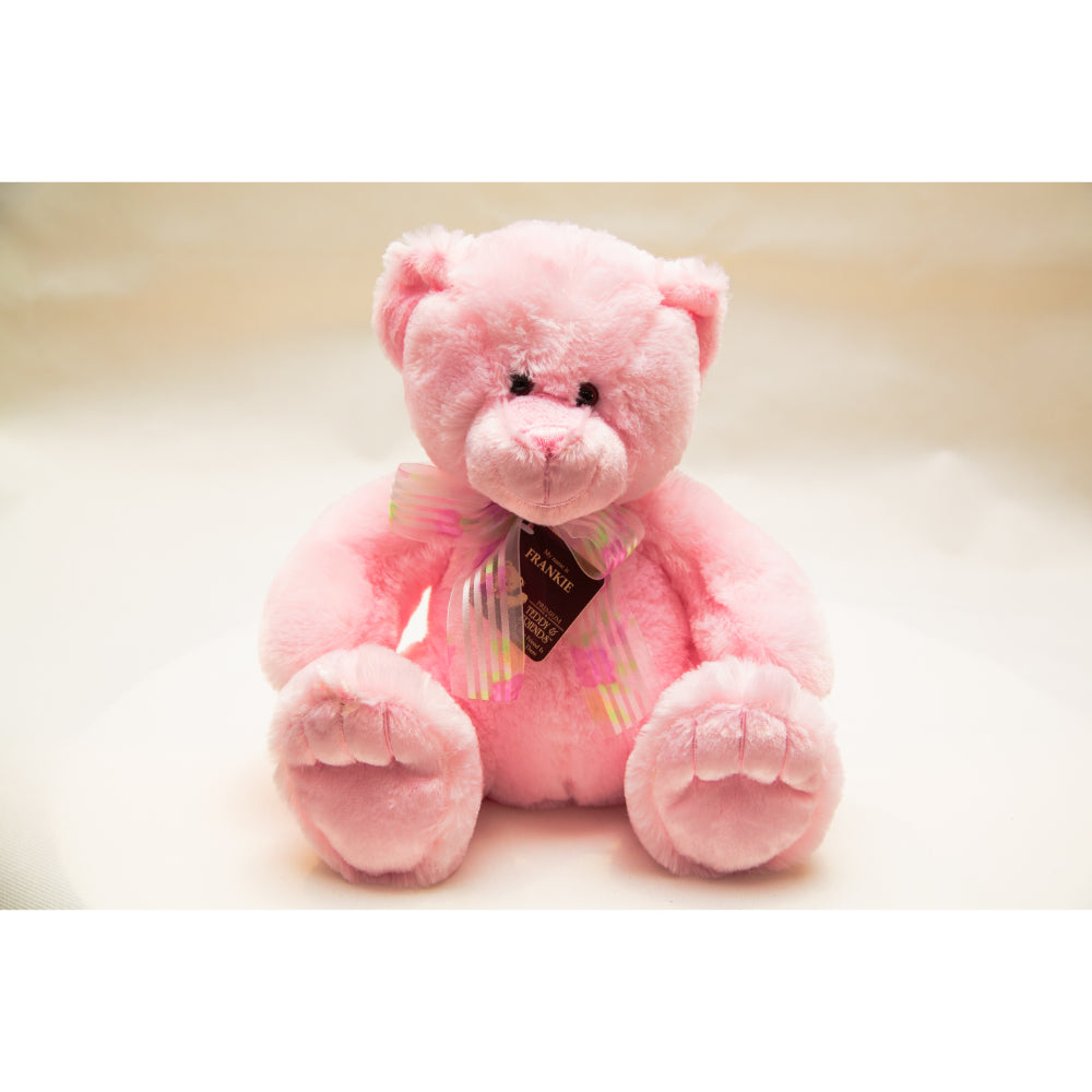 
                  
                    Pink Teddybear
                  
                